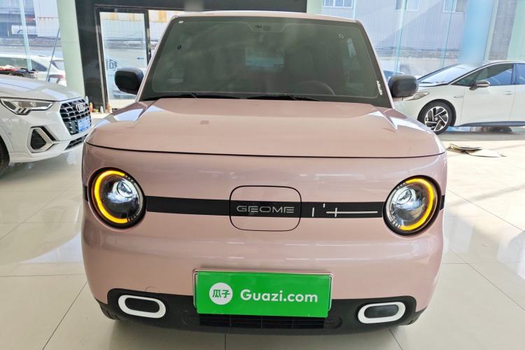 Used  Panda 2025 210 km – Yuanqi Bear