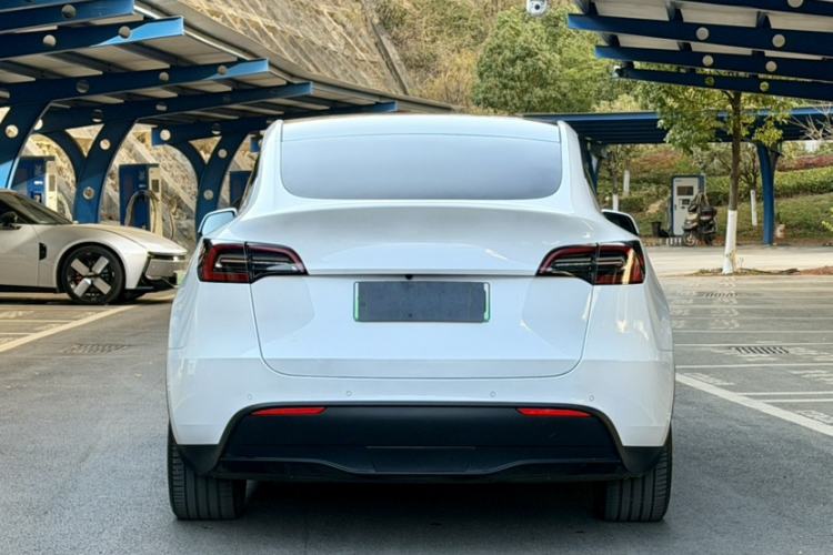 Used Tesla Model Y 2021 Long-Range All-Wheel-Drive Version