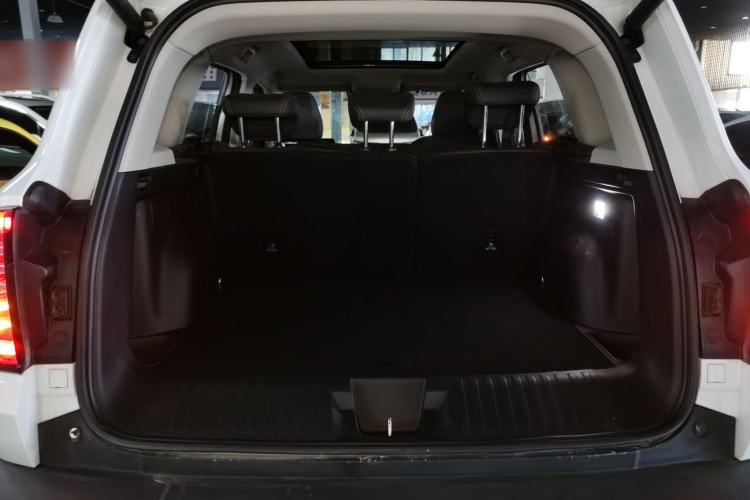 Used Haval DARGO 2021 2.0T DCT 4x4 Chinese Rural Dog Edition