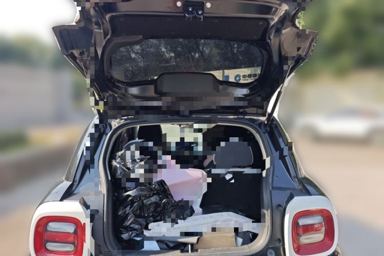 Used ORA Black Cat 2019 351 km Lingrui Version