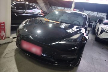 Used Tesla Model 3 2022 Performance High-Performance All-Wheel-Drive Version