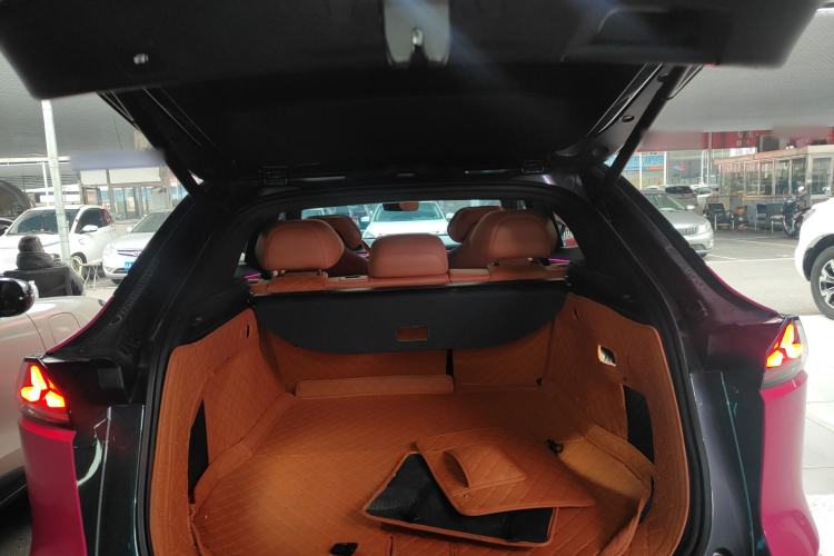 Used  S07 2023 200Max Range-Extended Version
