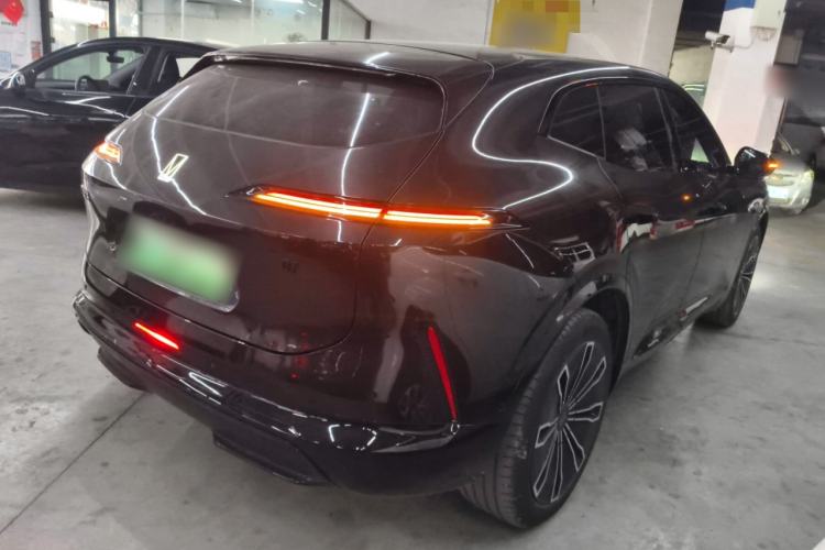 Used  07 2024 Pro Pure Electric Version
