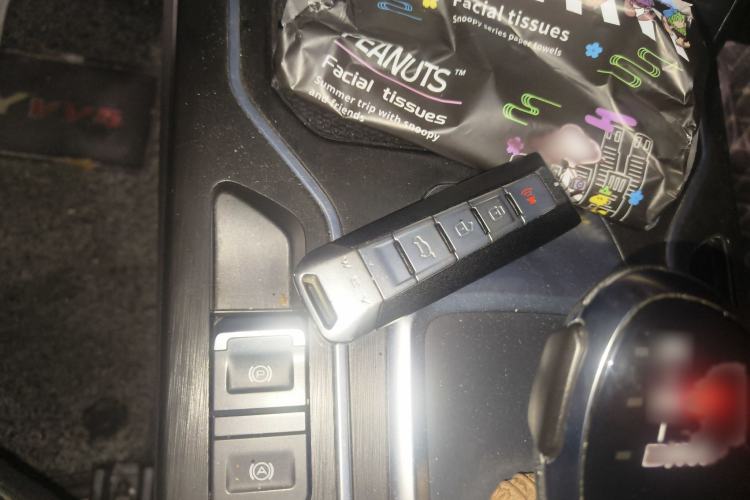 Used Wey VV5 2020 1.5T Two-Wheel Drive Color Pioneer
