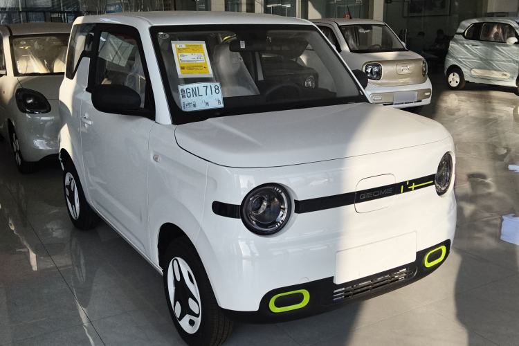 Used  Panda 2025 210 km – Yuanqi Bear

