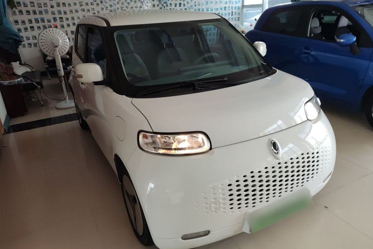 Used ORA White Cat 2020 360km Standard Version