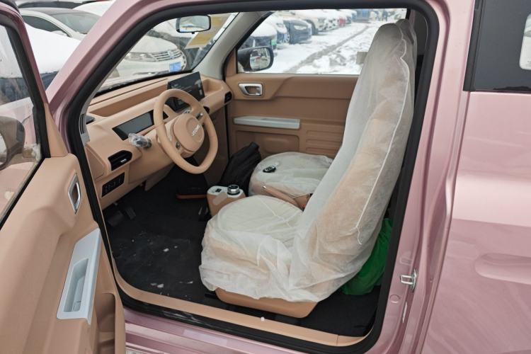 Used  Panda 2024 Panda Mini 200km Endurance Bear
