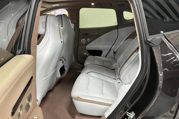 Used  07 2024 Max Extended-Range Edition
