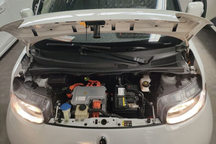 Used ORA White Cat 2020 305 km Luxury Version
