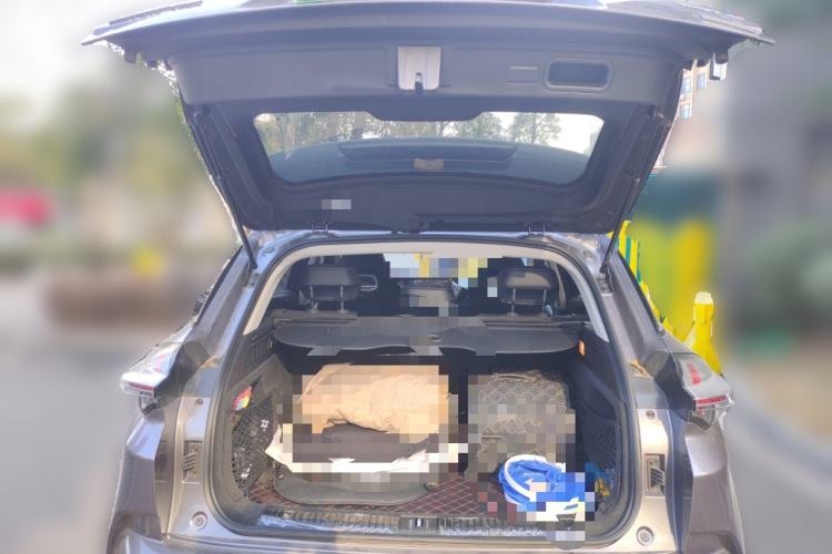 Used NETA U 2021 Pro 400 Cruiser Edition
