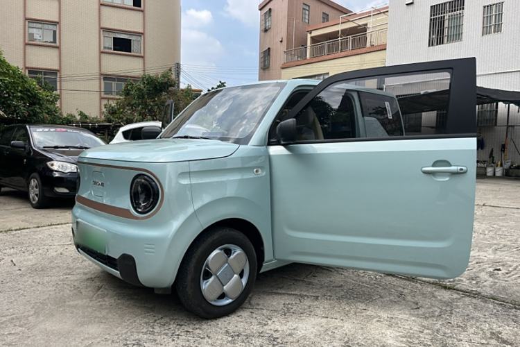 Used  Panda 2024 Panda Mini 200km Endurance Bear
