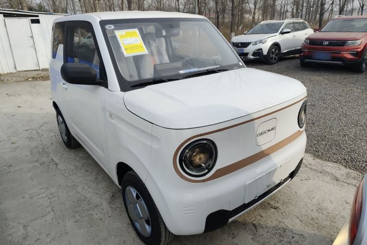 Used  Panda 2024 Panda Mini 200km Endurance Bear
