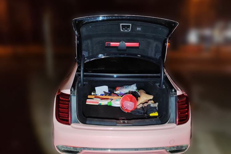 Used Hongqi H9 2020 2.0T Smart Connect Flagship Edition