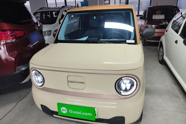 Used  Panda 2024 Panda Mini 200km Endurance Bear
