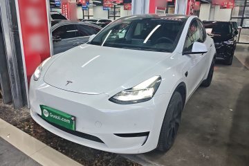 Used Tesla Model Y 2022 Rear-Wheel-Drive Version