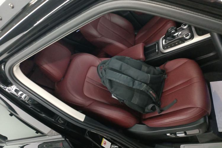 Used Tank 300 2024 2.0T Crosser
