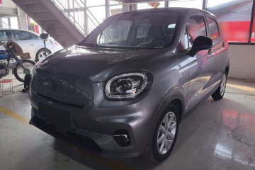 Used Leapmotor T03 2022 Agate Edition