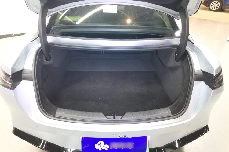 Used  GT 2023 560 Rear-Drive Seven-Wing Edition
