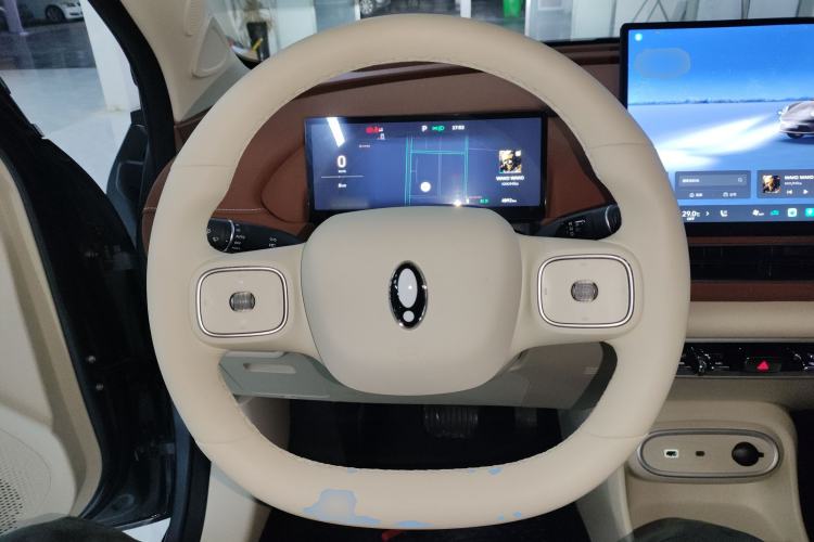 Used ORA Good Cat 2025 Model, 430 km Luxury Version