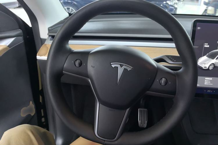 Used Tesla Model Y 2021 Long-Range All-Wheel-Drive Version
