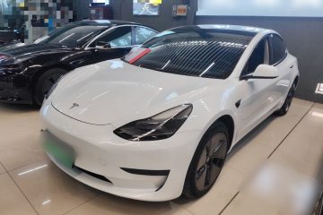 Used Tesla Model 3 2022 Rear-Wheel-Drive Version
