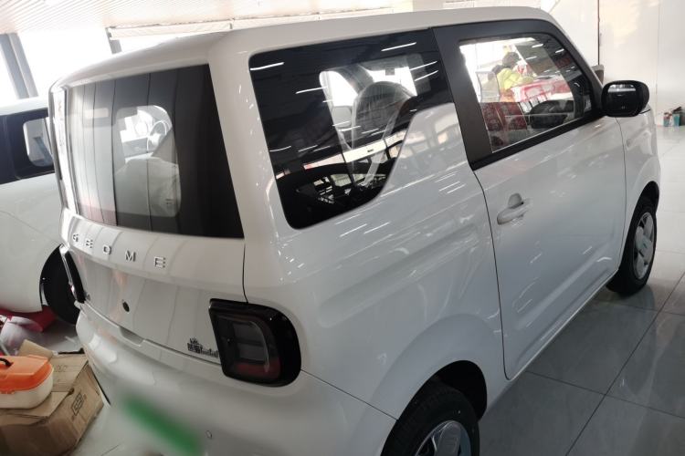 Used  Panda 2024 Panda Mini 200km Endurance Bear
