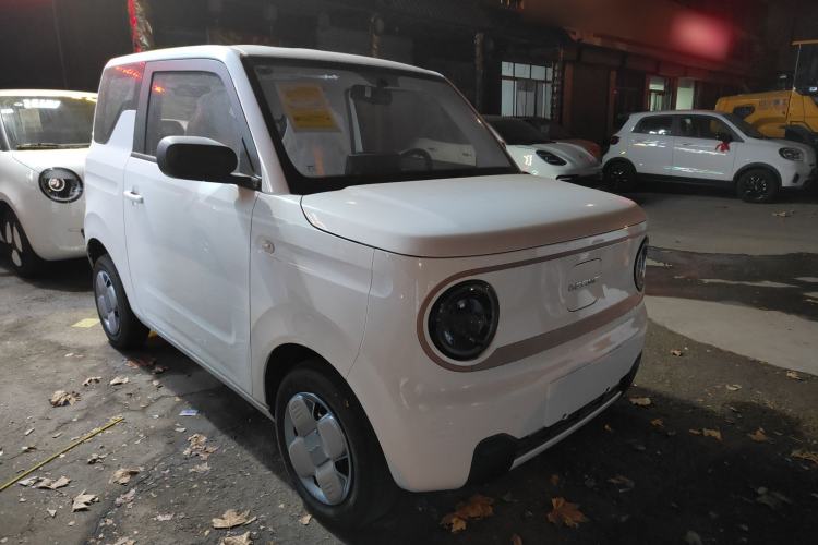 Used  Panda 2024 Panda Mini 200km Endurance Bear
