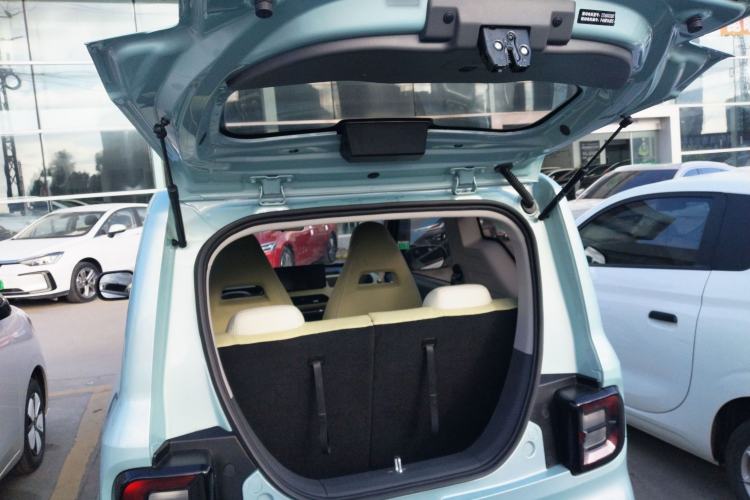 Used  Panda 2023 Panda Mini 200km Endurance Bear
