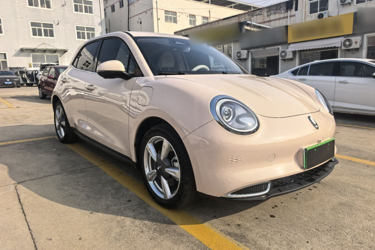 Used ORA Good Cat 2023 401 km Standard Range Luxury Version Lithium Iron Phosphate
