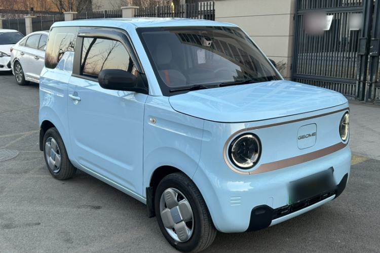 Used  Panda 2023 Panda Mini 200km Endurance Bear
