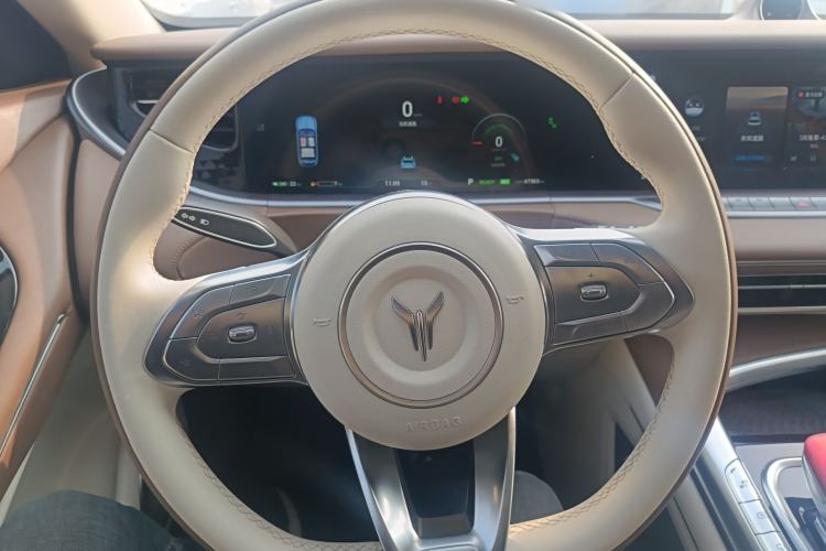 Used VOYAH FREE 2021 Four-Wheel Drive Standard Range-Extended Exclusive Luxury Package
