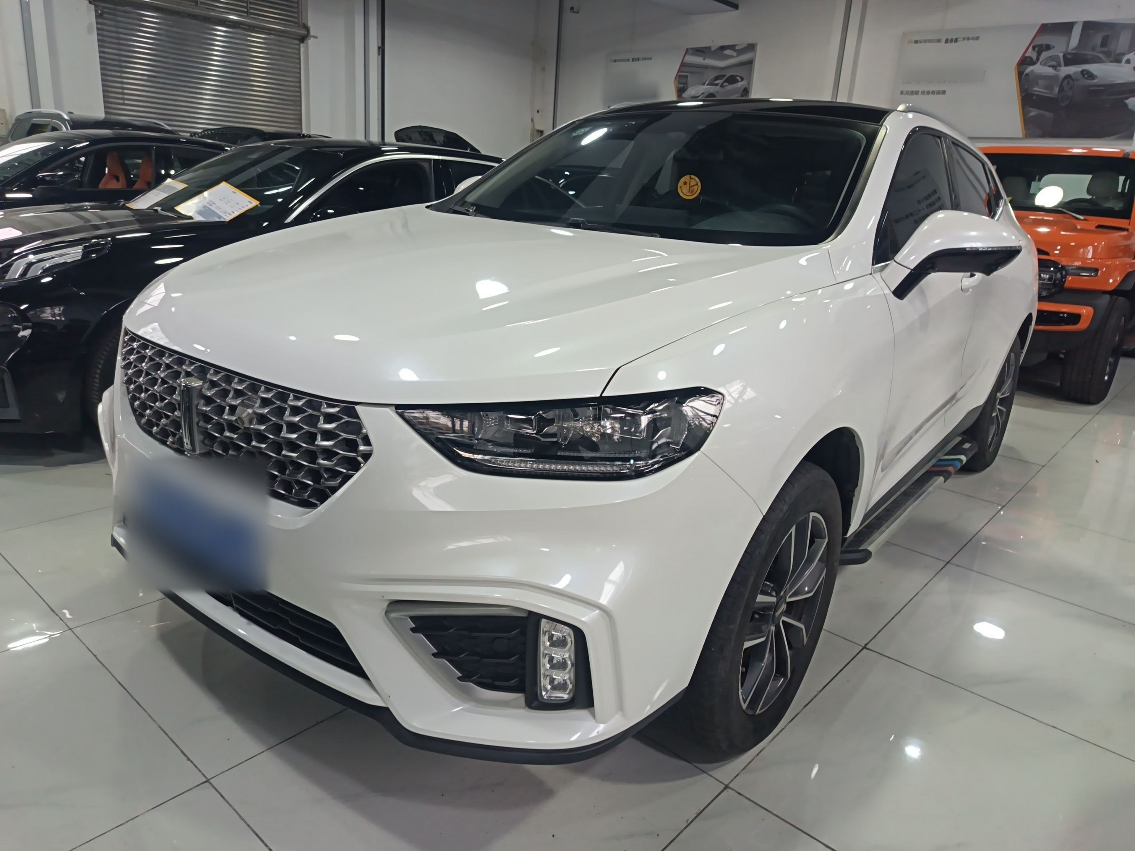 تحت مقدمة السيارة