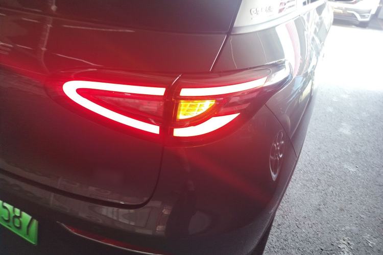 Used  Geome 2025 310km Youth Edition
