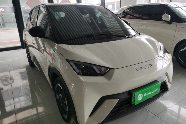 Used BYD Seagull 2024 Honor Edition 305km Freedom Version