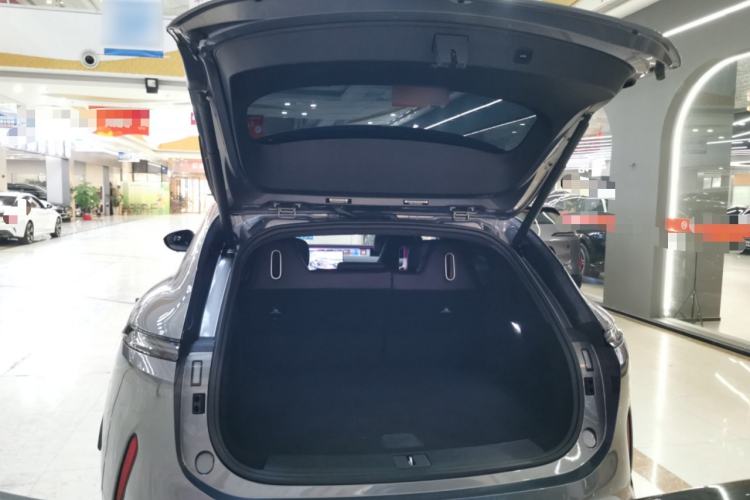 Used  07 2024 Max Extended-Range Edition
