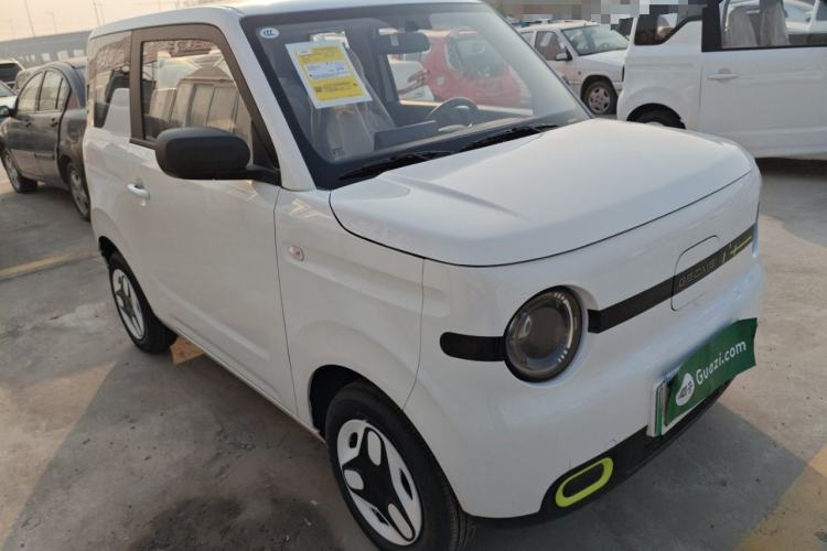 Used  Panda 2025 210 km – Yuanqi Bear
