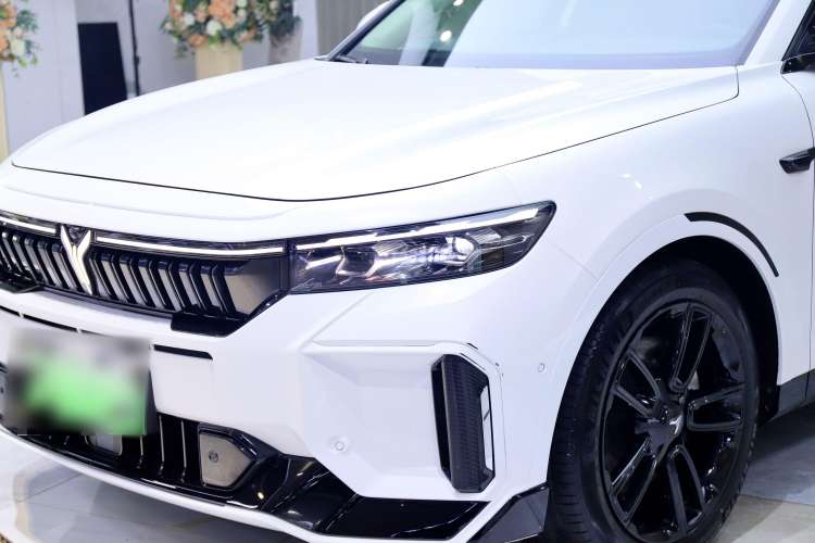 Used VOYAH FREE 2024 Ultra-Long Range Intelligent Driving Version
