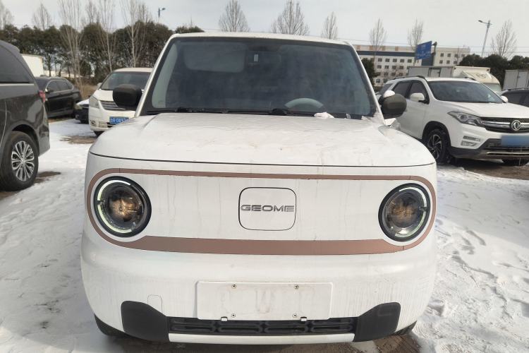 Used  Panda 2024 Panda Mini 200km Endurance Bear