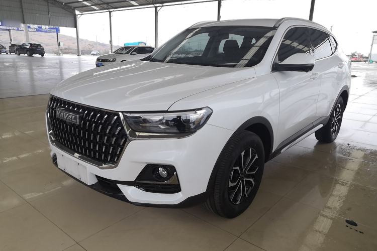 Used Haval H6 2023 National Trend Edition 1.5T Automatic Urban Version
