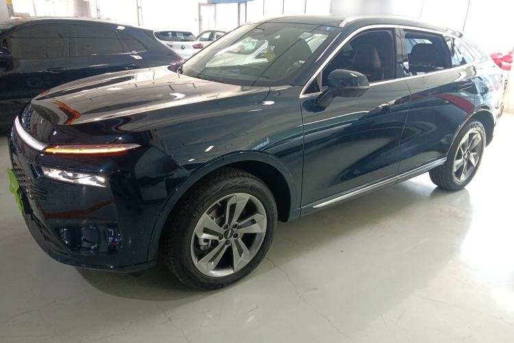 Used Wey Mocha New Energy 2023 Two-Wheel Drive Long-Range Version
