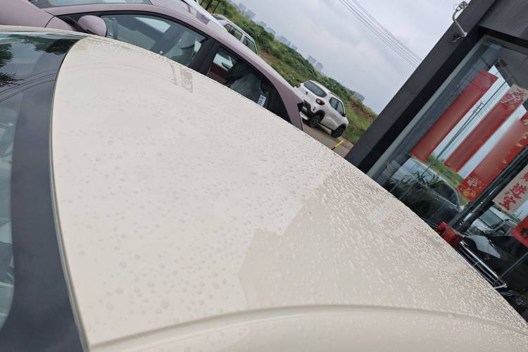 Used  Geome 2025 310km Youth Edition
