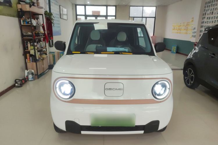 Used  Panda 2024 Panda Mini 200km Endurance Bear