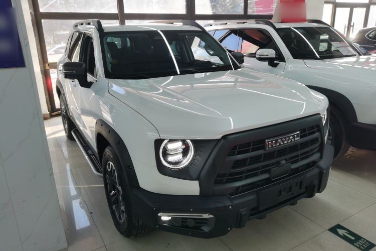 Used Haval DARGO 2024 2.0T DCT Chinese Rural Dog Edition