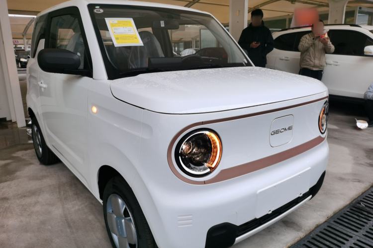 Used  Panda 2024 Panda Mini 200km Endurance Bear