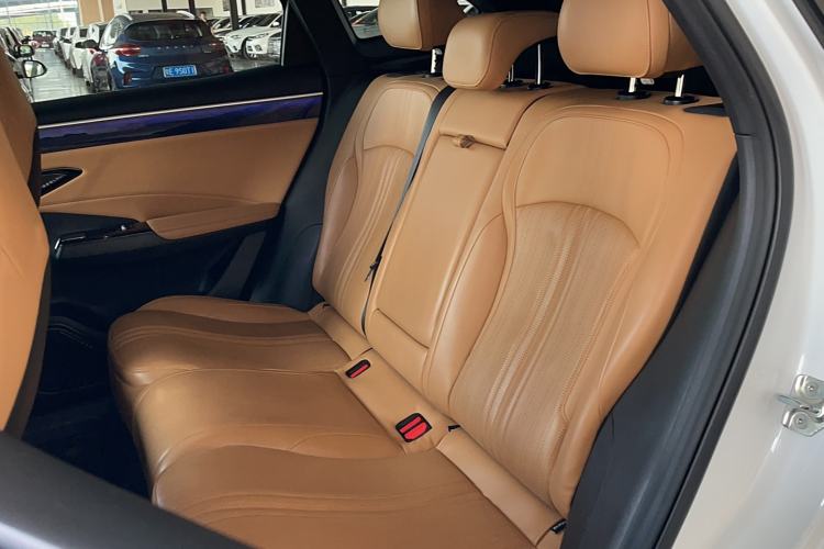 Used  L7 2024 1.5T 115 km MAX Dragon Edition
