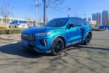 Used Haval LHERY 2021 High-Performance Version 1.5T Golden Rabbit