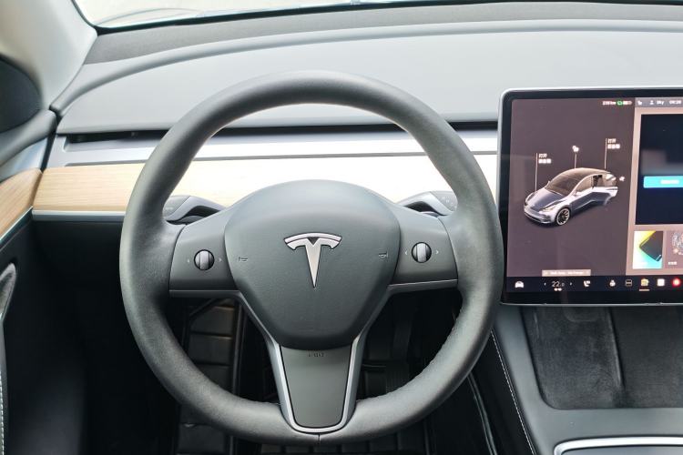 Used Tesla Model Y 2021 Standard Range Rear-Wheel Drive Version
