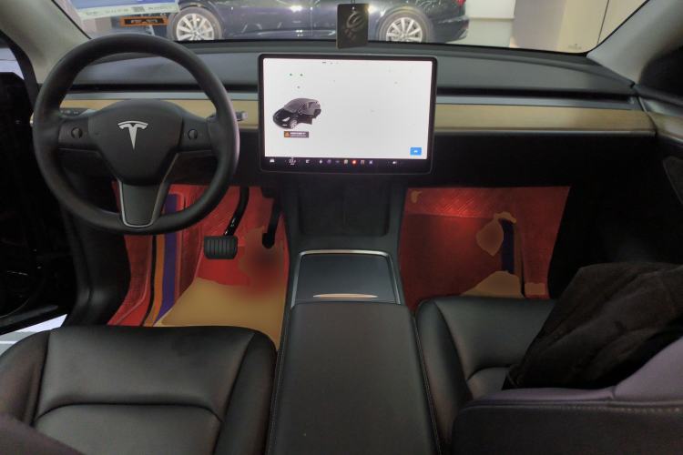 Used Tesla Model Y 2021 Standard Range Rear-Wheel Drive Version
