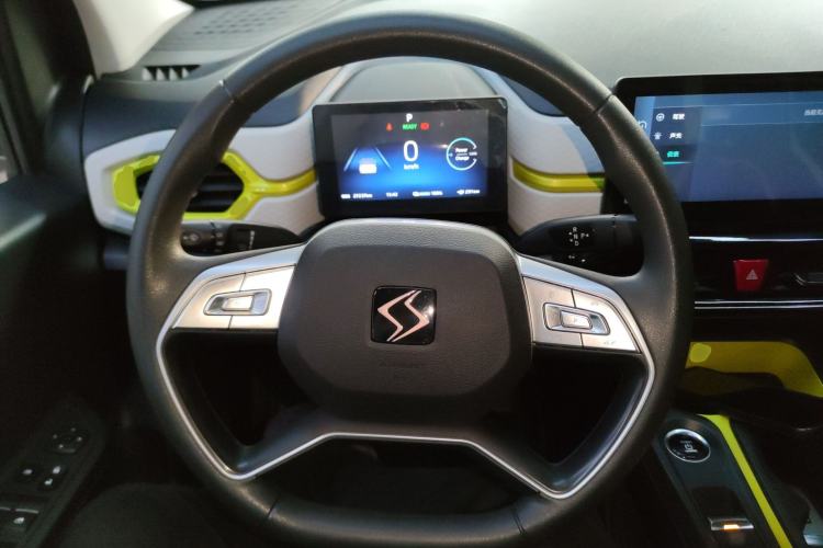 Used SOL E10X 2022 Flower Fairy Design Four-Leaf Clover
