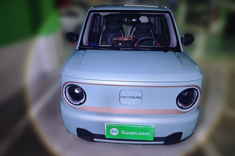 Used  Panda 2024 Panda Mini 200km Endurance Bear